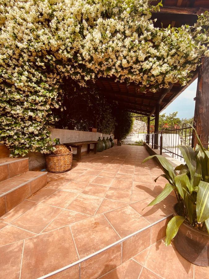 Bed & Breakfast Spigolatrice Sapri Exterior photo